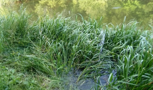 На Тернопільщині загинув рибалка, рятуючи підлітка з водойми 