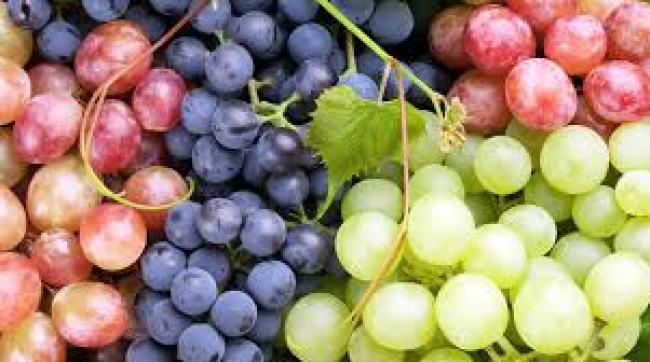 Що робити з виноградом у липні: лайфхаки для гігантського врожаю
