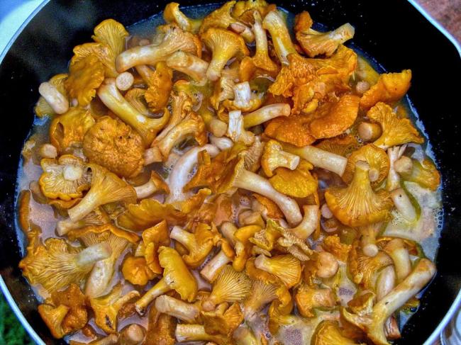 Що додати в каструлю під час варіння грибів, щоб вони не потемніли та зберегли свій природний колір