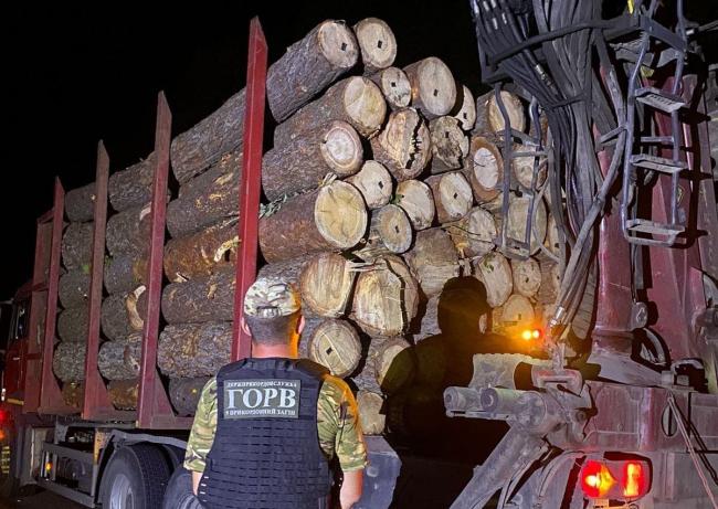 На Житомирщині виявили 35 кубометрів деревини з порушеннями