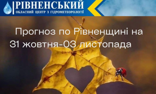 Відомо, яка погода буде на Рівненщині у перші дні листопада