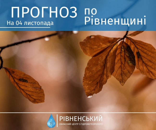 На Рівненщині жителів попереджають про туман та пориви вітру