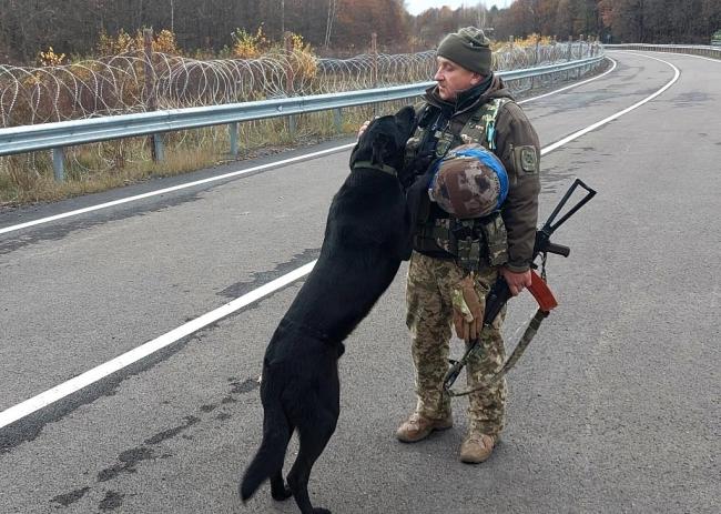 Собака Лейла готова до оборони північних кордонів України