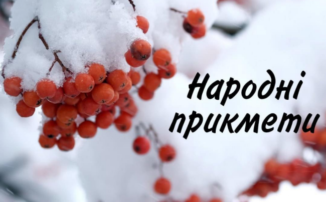 Сніжний грудень - до гарного врожаю пшениці: народні прикмети