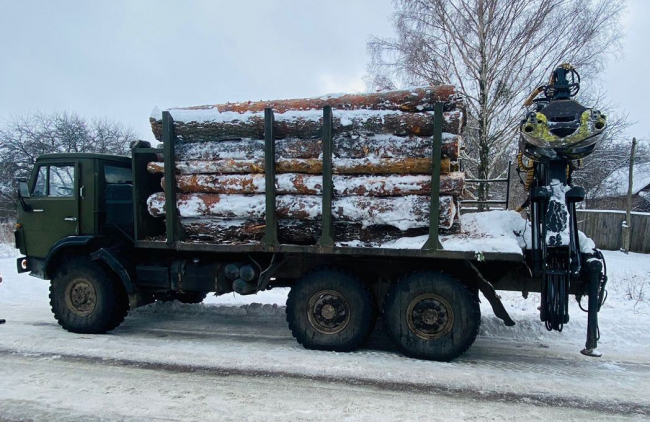 На Житомирщині виявили близько 10 кубометрів лісу без документів