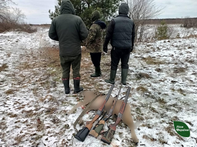 На Волині затримали браконьєрів, які вполювали самця козулі