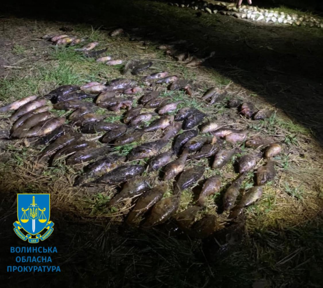 На Волині чоловік наловиви риби у заказнику на майже мільйон гривень