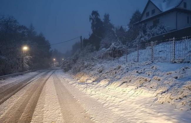 Мокрий сніг та нічна хуртовина: яку погоду очікувати на Рівненщині 13 січня
