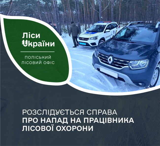 На Поліссі "чорні лісоруби" напали на працівника лісової охорони