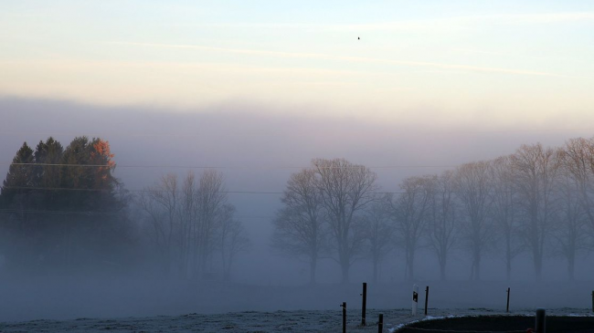 Туман та ожеледиця: яку погоду очікують на Рівненщині 15 лютого
