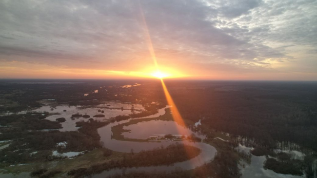 Річка Стир на півночі Рівненщині. Фото: Суспільне Рівне, 2023 рік