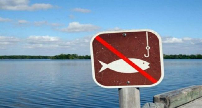 На Рівненщині з квітня стартує нерестова заборона на вилов риби