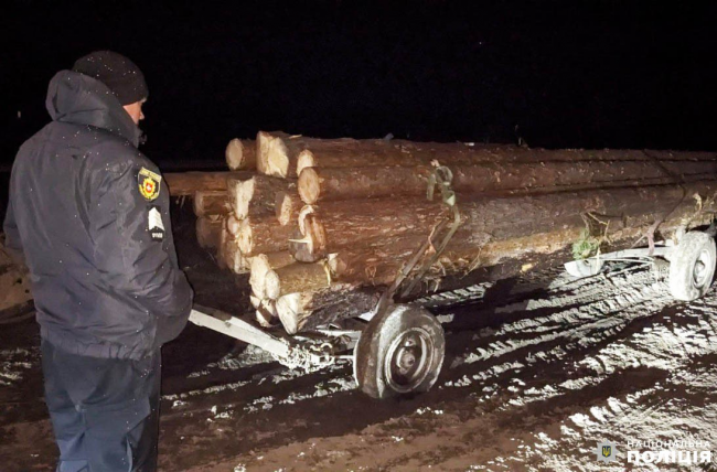 На півночі Рівненщини поліція ловила "чорних лісорубів" (ФОТО)