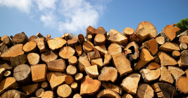 "Продавав дрова": на Рівненщині шахрай ошукав 16 громадян