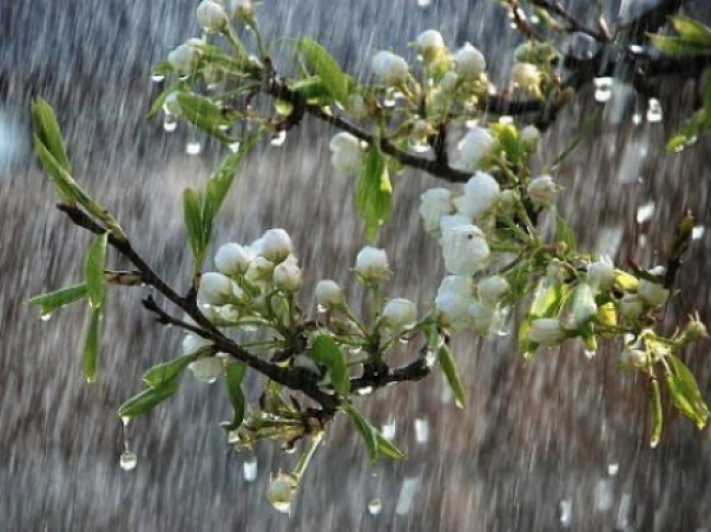 На Рівненщині - штормове попередження через грозу та пориви вітру
