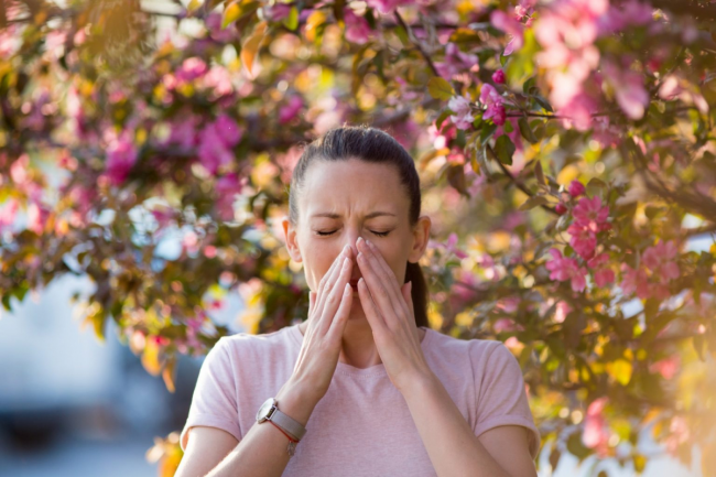 Поліноз або сезонна алергія: як пережити пору цвітіння дерев і квітів