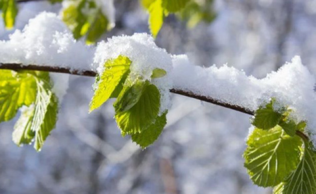 На Рівненщині цього тижня дощитиме і навіть може пролітати мокрий сніг