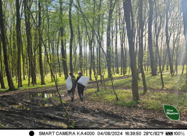 Фотопастки, установлені в лісах Рівненщини й Волині, "ловлять" людей, які вивозятт сміття