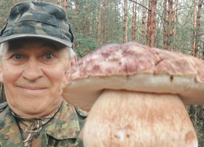 Грибник із Рівненщини за дві години в лісі знайшов десятки боровиків та маслюків