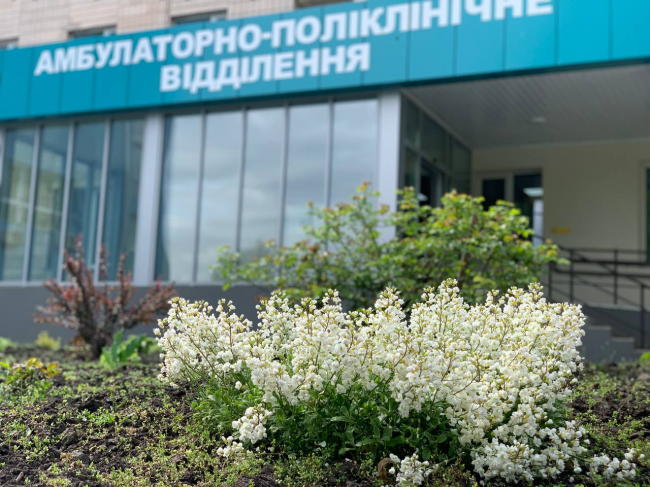 У парку Рівненської обласної лікарні висадили 50 вічнозелених туй