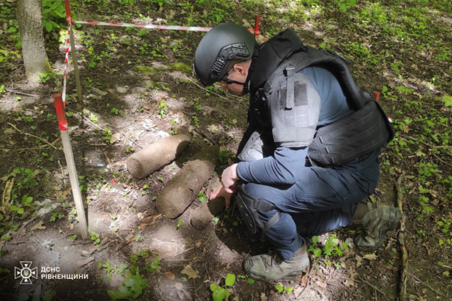Біля села на Дубенщині знайшли 3 боєприпаси