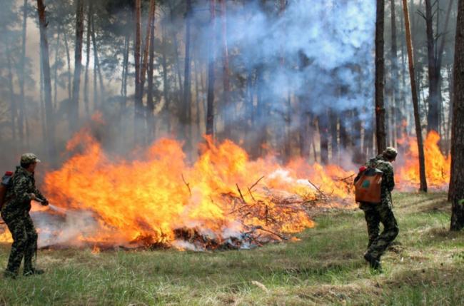 На Рівненщині очікують надзвичайну пожежну небезпеку