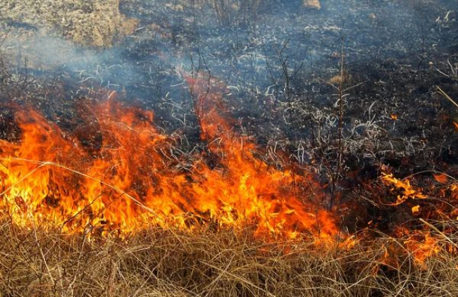 На Рівненщині знову палили сухостій: де саме трапилися пожежі