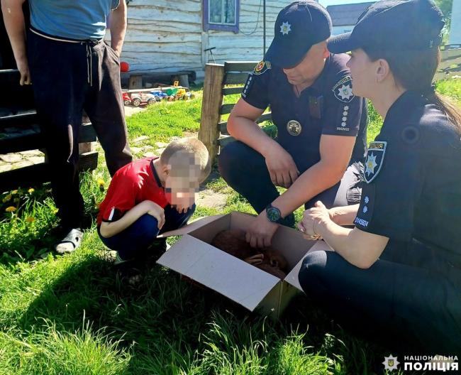 Подарували кроликів: поліцейські здійснили мрію хлопчика на Рівненщині