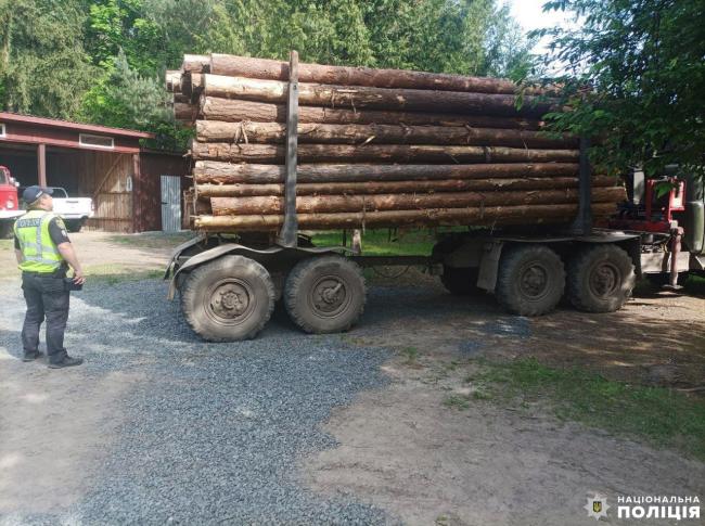 У селі на Рівненщині виявили майже 20 кубів незаконної деревини