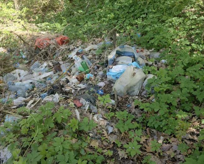 Серед лісу на Дубенщині виявили звалище сміття (ФОТО)