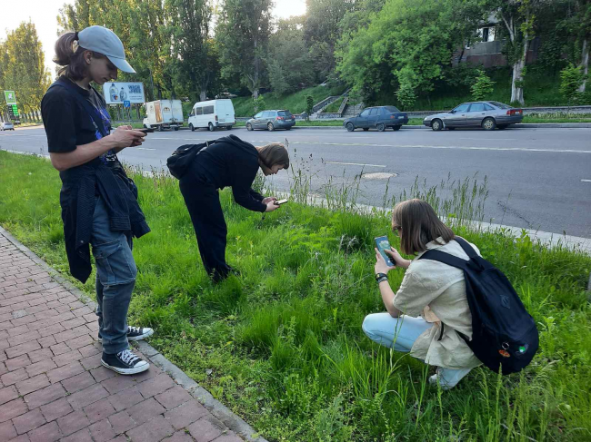 У Рівному підлітки досліджують флору газонів та просять їх не викошувати (ФОТО)