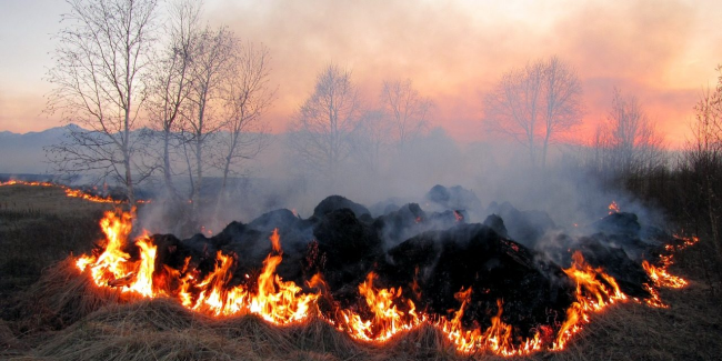 На півдні Рівненщини збережеться надзвичайна пожежна небезпека