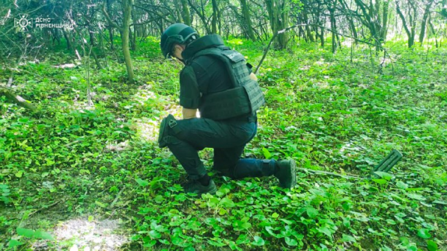 У лісі на Дубенщині знайшли два артснаряди