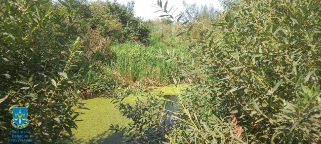 На Дубенщині водойми перетворилися на болото через халатність орендаря