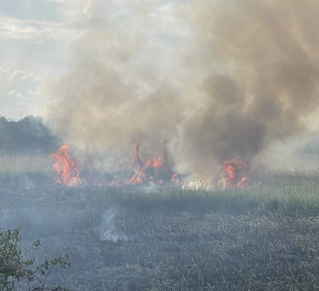 Пожежа у Рівному на Північному: патрульні допомагали гасити вогонь