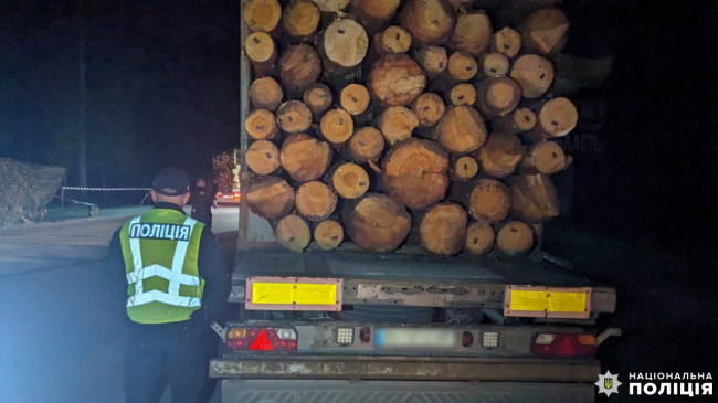 На півночі Рівненщини у водія вантажівки вилучили майже 40 кубометрів деревини
