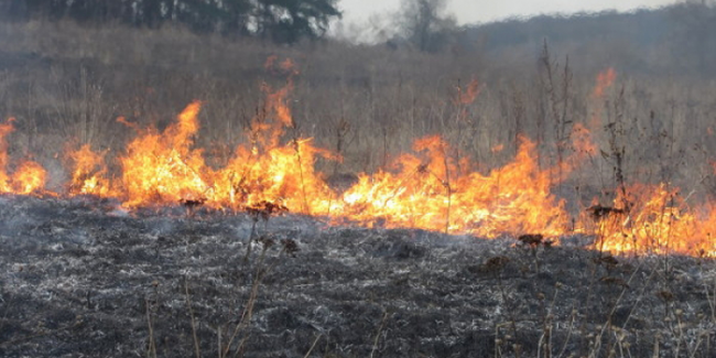 На Рівненщині пожежники 8 разів за добу гасили підпалену траву та сміття