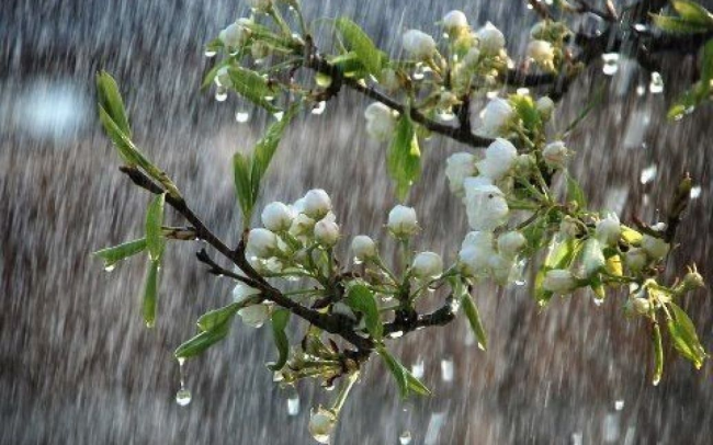 На Рівненщині очікуються короткочасні дощі та грози