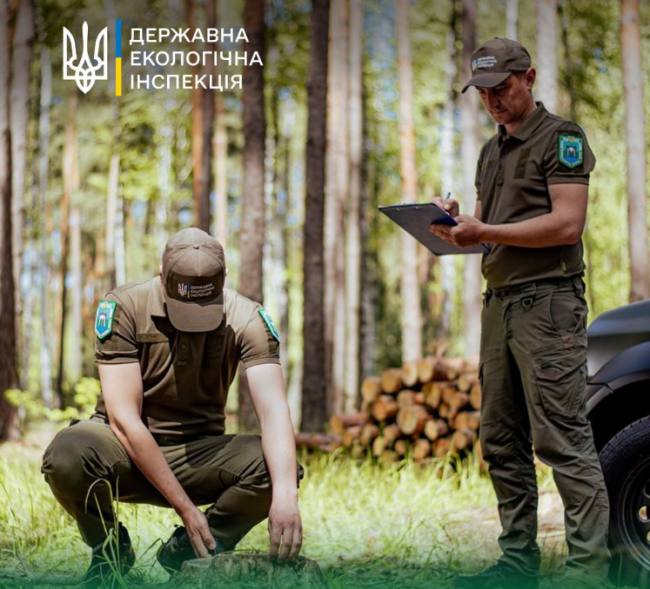 Перший випадок в Україні: громада на Рівненщині сплатить майже 3 млн грн за вирубку лісу