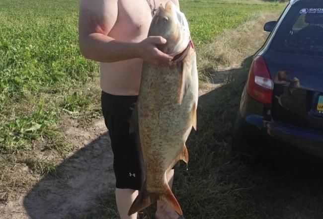 На Рівненщині рибалка спіймав 13-кілограмового товстолоба (ФОТОФАКТ)