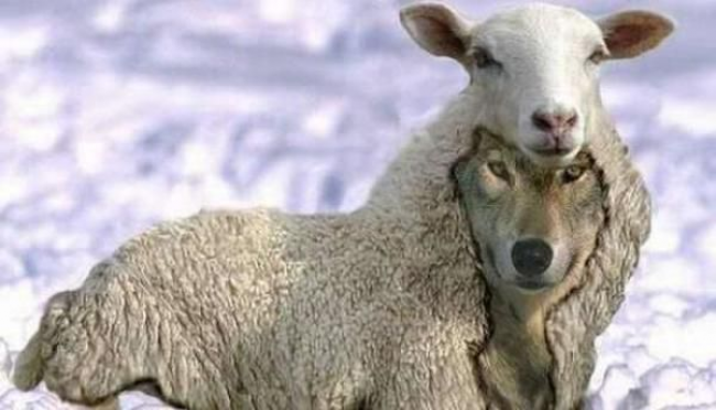 Вовки в овечій шкурі: трійка найхитріших знаків зодіаку