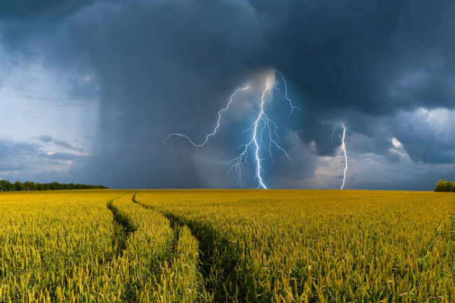 У північних районах Рівненщини оголосили штормове попередження