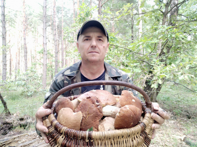 На Рівненщині чоловік показав відео з лісу, як назбирав кошик красенів-грибів