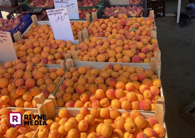 Скільки вартують абрикоси на ринку в Рівному