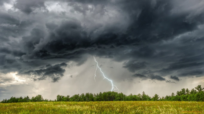 На Рівненщині збережеться дощовита погода з локальними грозами