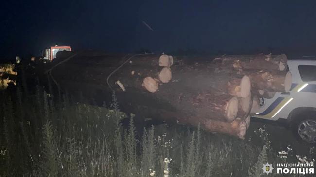 На Рівненщині виявили два трактори та бус із незаконною сосною