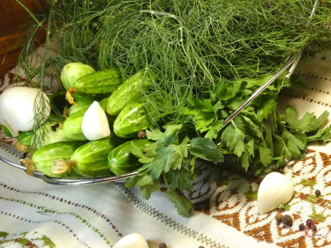 Малосольні огірки з цибулею, кропом і петрушкою у пакеті: швидкий рецепт "хрустиків"