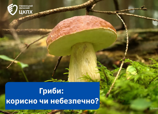 Можуть заміняти м’ясо, фрукти та масло: чому корисно їсти гриби