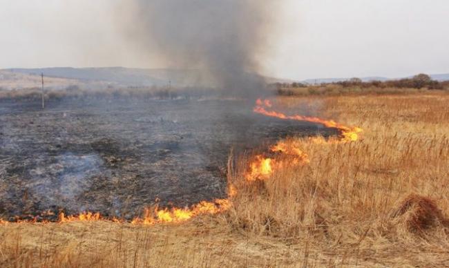 У громаді на Рівненщині оштрафували 4 паліїв