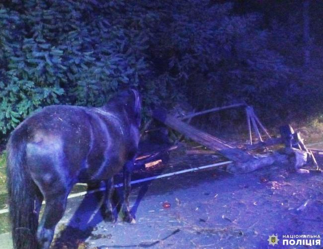 На півночі Рівненщини у ДТП загинув водій воза